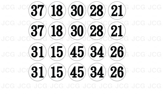 Race numbers V2 water slide decal